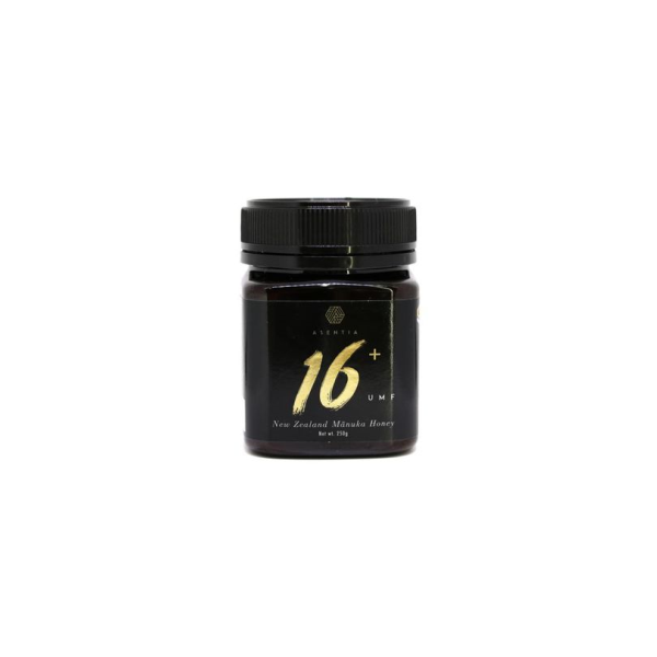 Asentia Umf+ 16